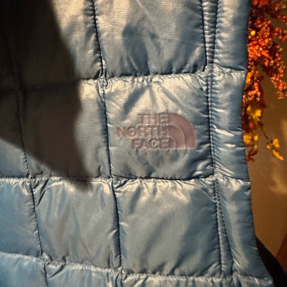 The North Face Men's Light Blue Jacket